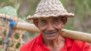 Tentu, mari kita susun artikel tentang tips hidup panjang umur yang informatif dan menarik.