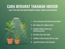 Cara Merawat Tanaman Indoor Agar Tetap Hijau dan Segar Meskipun Jarang Terkena Sinar Matahari