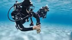 Daftar Perlengkapan Snorkeling yang Wajib Kamu Miliki Sendiri Demi Kebersihan dan Kenyamanan Saat Menyelam